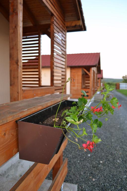 Vila Casute De Vacanta - Complex Ben Ocna Sibiului Exteriér fotografie